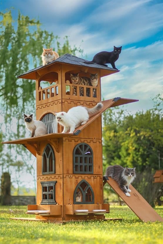 Mandu Ahşap 4 Katlı Teraslı Tırmalama ve Mama Kaplı Kedi Evi MND289 