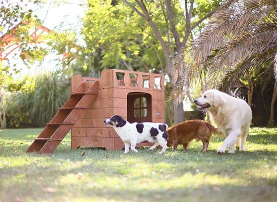 Mandu Ahşap Dublex Köpek Kulübesi Teraslı-Mnd197