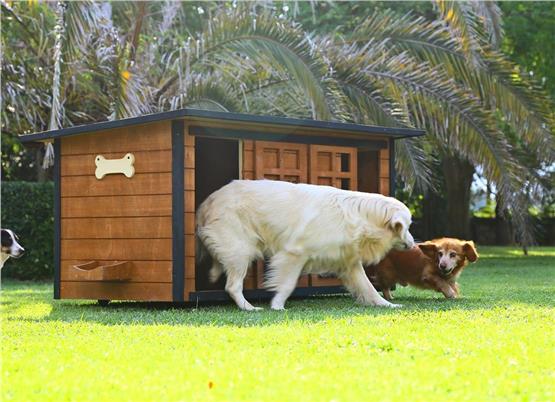 Mandu Ahşap İkiz Köpek Kulübesi (2 Yuva Tek Kulübe) + İsimlik Ve Mama Kabı-Mnd227