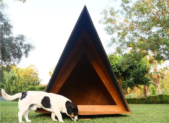 Mandu Ahşap Köpek Kulübesi (A Frame)-Mnd224