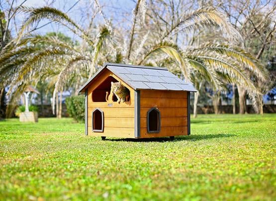 Mandu Ahşap Teraslı Dublex Kedi Evi-Mnd163