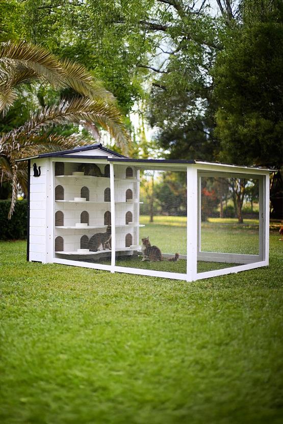 Mandu Bahçeli Kedi Apartmanı (Kedi Evi) + Mama Kapları Hediye-Mnd222