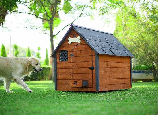 Mandu Isı Yalıtımlı Ahşap Köpek Kulübesi Xlarge-Mnd57