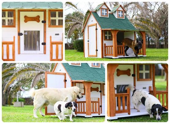 Mandu Ultra Lüks Ahşap Köpek Kulübesi - mnd100