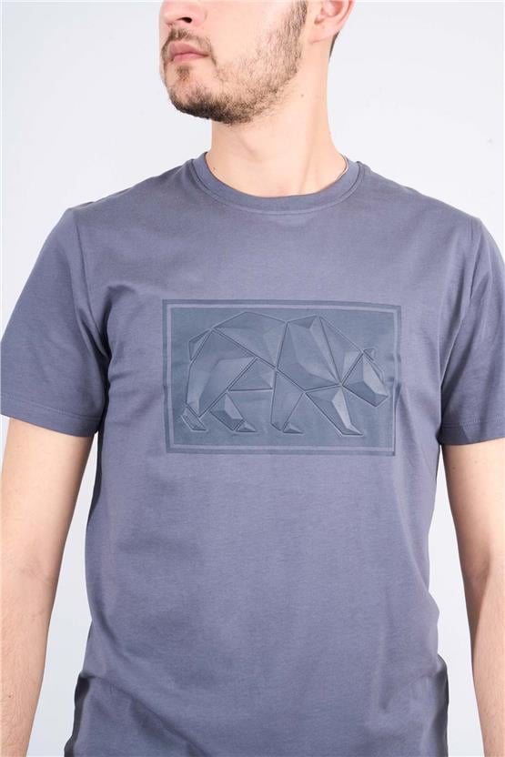 Mentality 4097 Erkek Bisiklet Yaka Baskılı Regular T-shirt Antrasit