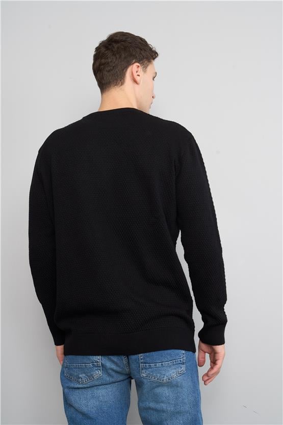Mentality 5123 Erkek Bisiklet Yaka Petek Triko Siyah