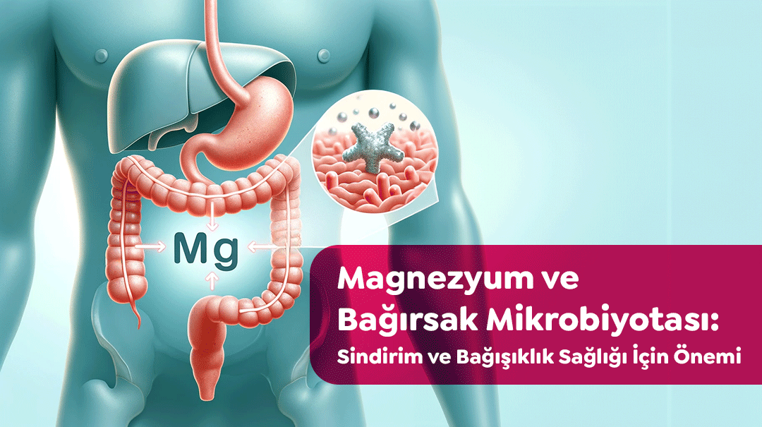 magnezyum