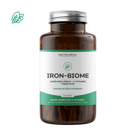 Iron-Biome