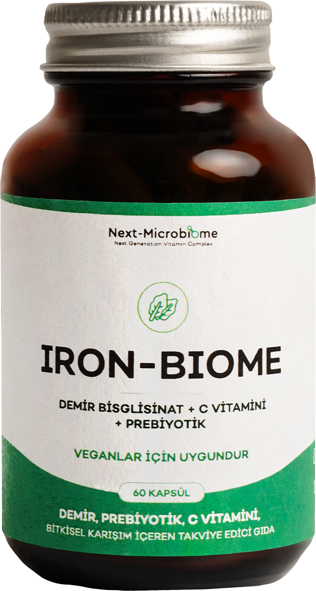 iron-Biome