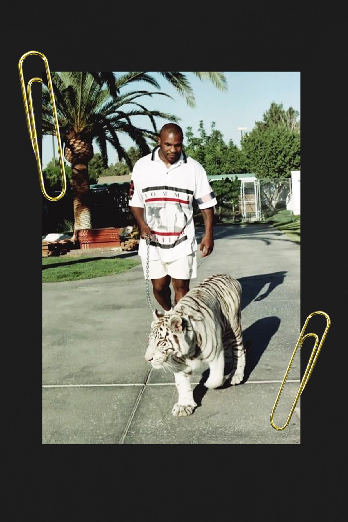 PRINTED MIKE TYSON hoodie