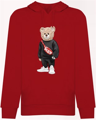 PRINTED TEDDY BEAR hoodie