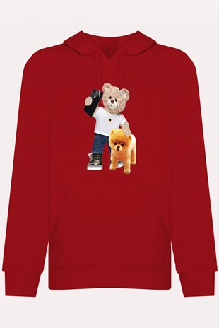PRINTED TEDDY BEAR hoodie