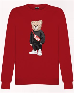 PRINTED TEDDY BEAR sweatshirt