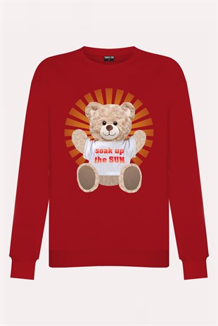 PRINTED TEDDY BEAR sweatshirt