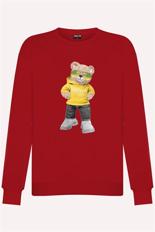 PRINTED TEDDY BEAR sweatshirt