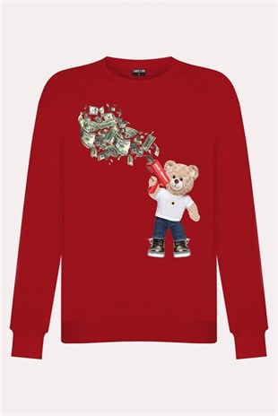 PRINTED TEDDY BEAR sweatshirt