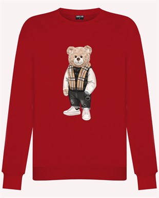 PRINTED TEDDY BEAR sweatshirt