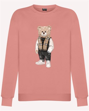 PRINTED TEDDY BEAR sweatshirt