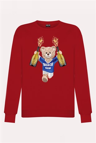 PRINTED TEDDY BEAR sweatshirt