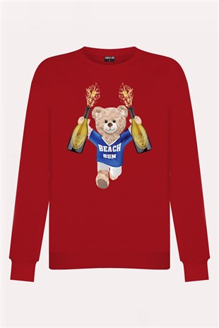 PRINTED TEDDY BEAR sweatshirt