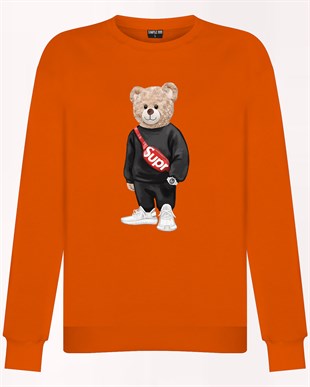 PRINTED TEDDY BEAR sweatshirt