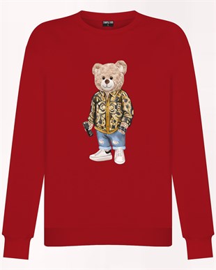 PRINTED TEDDY BEAR sweatshirt