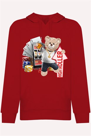 PRINTED TEDDY BEAR  hoodie