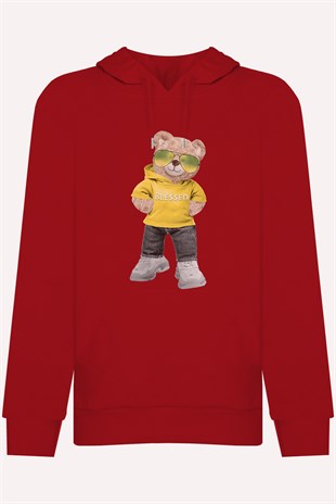 PRINTED TEDDY BEAR  hoodie