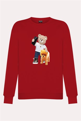 PRINTED TEDDY BEAR sweatshirt