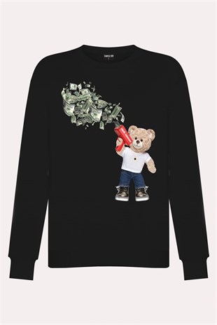 PRINTED TEDDY BEAR sweatshirt