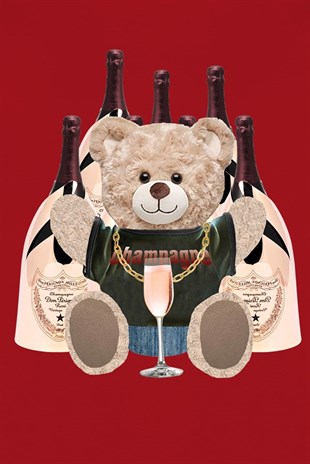 PRINTED TEDDY BEAR sweatshirt