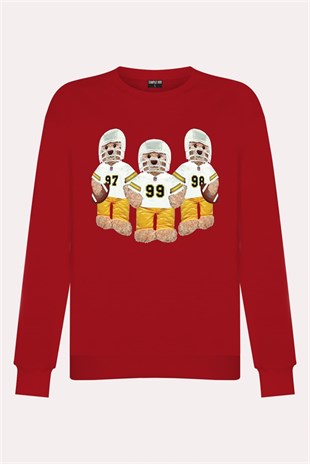 PRINTED TEDDY BEAR sweatshirt