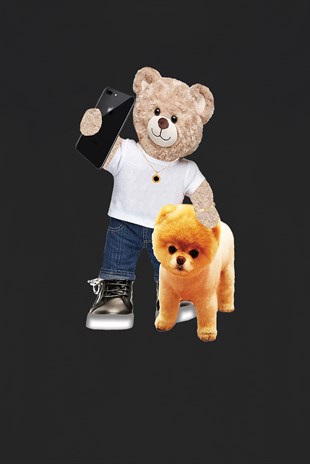 PRINTED TEDDY BEAR sweatshirt