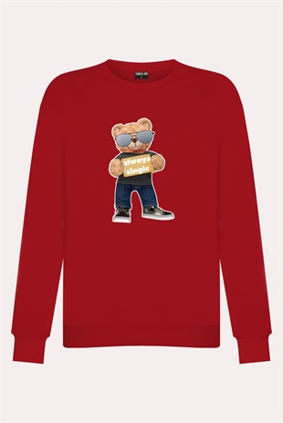 PRINTED TEDDY BEAR sweatshirt