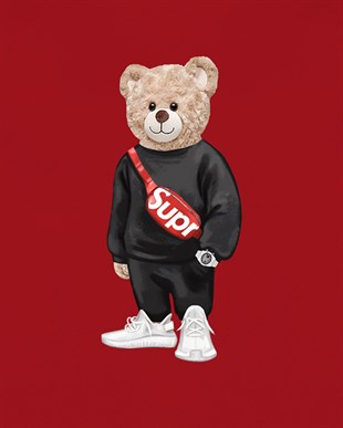PRINTED TEDDY BEAR sweatshirt