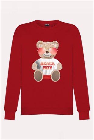 PRINTED TEDDY BEAR sweatshirt