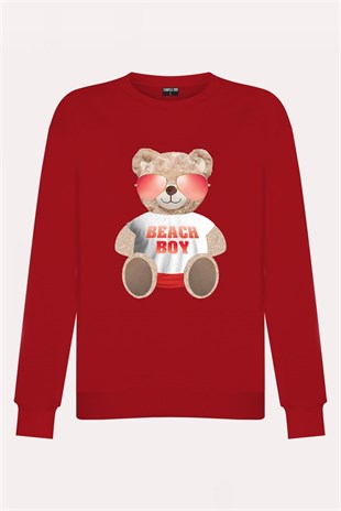 PRINTED TEDDY BEAR sweatshirt
