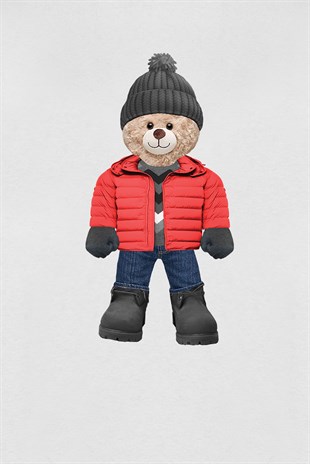 PRINTED TEDDY BEAR tshirt