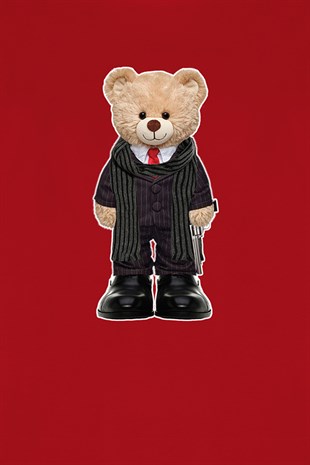 Teddy Printed Unisex Tshirt (Kırmızı)