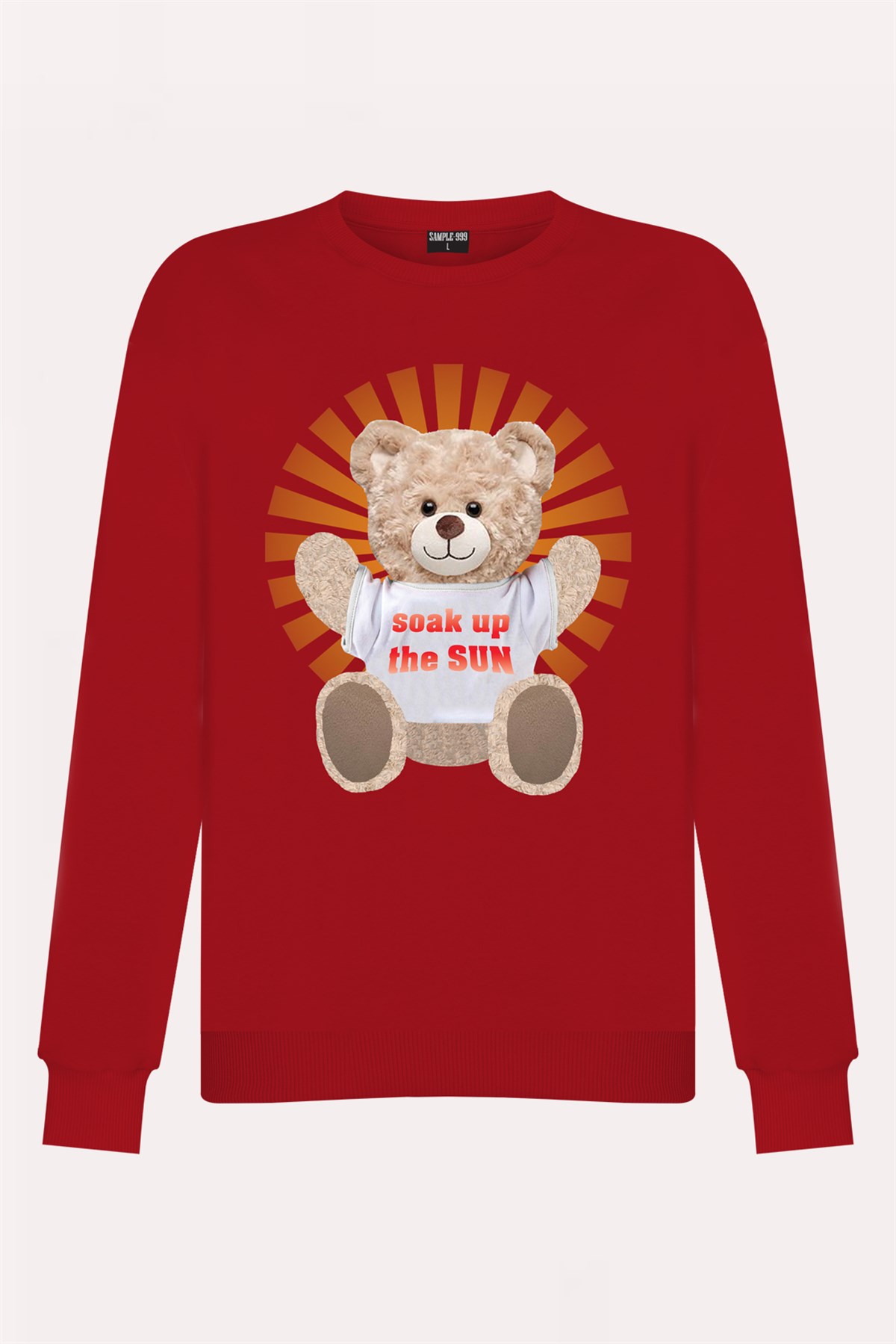 PRINTED TEDDY BEAR sweatshirt