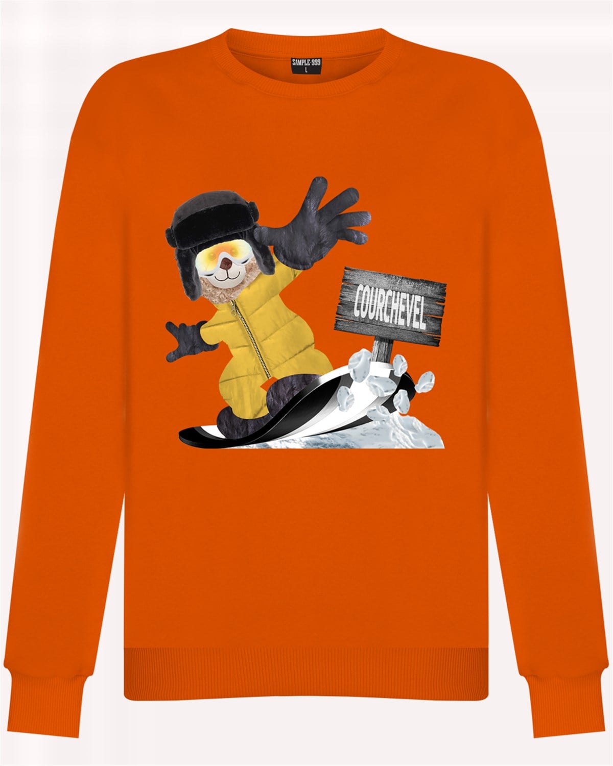 PRINTED TEDDY BEAR sweatshirt