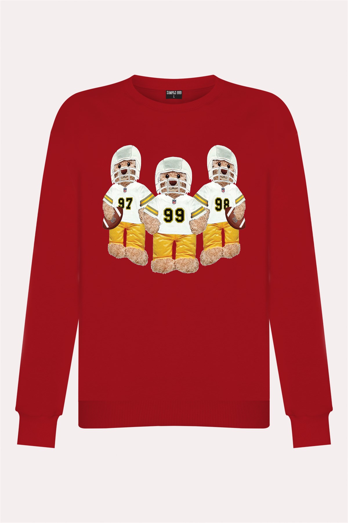 PRINTED TEDDY BEAR sweatshirt