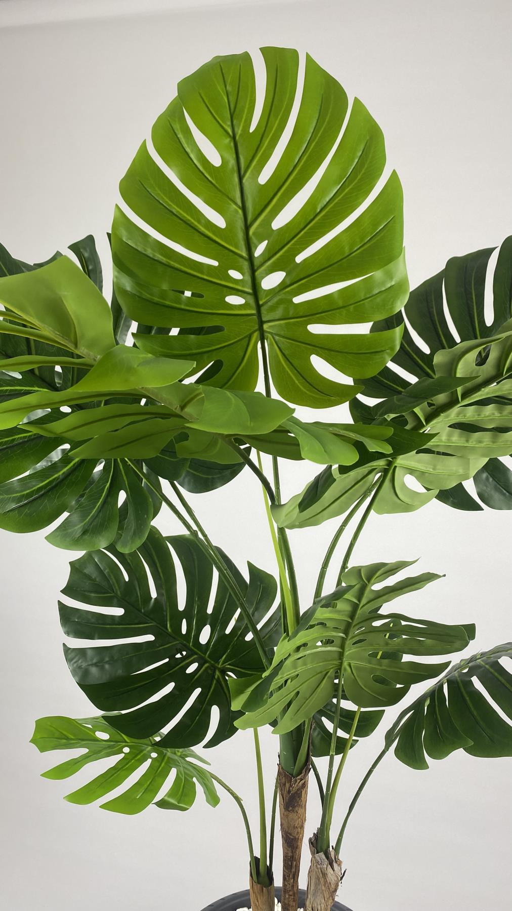 YAPAY AĞAÇ MONSTERA BAMBU GÖVDELİ 170CM DEVETABANI AĞACI BÜYÜK BOY ANTRASİT RENK NERGİS SAKSIDA