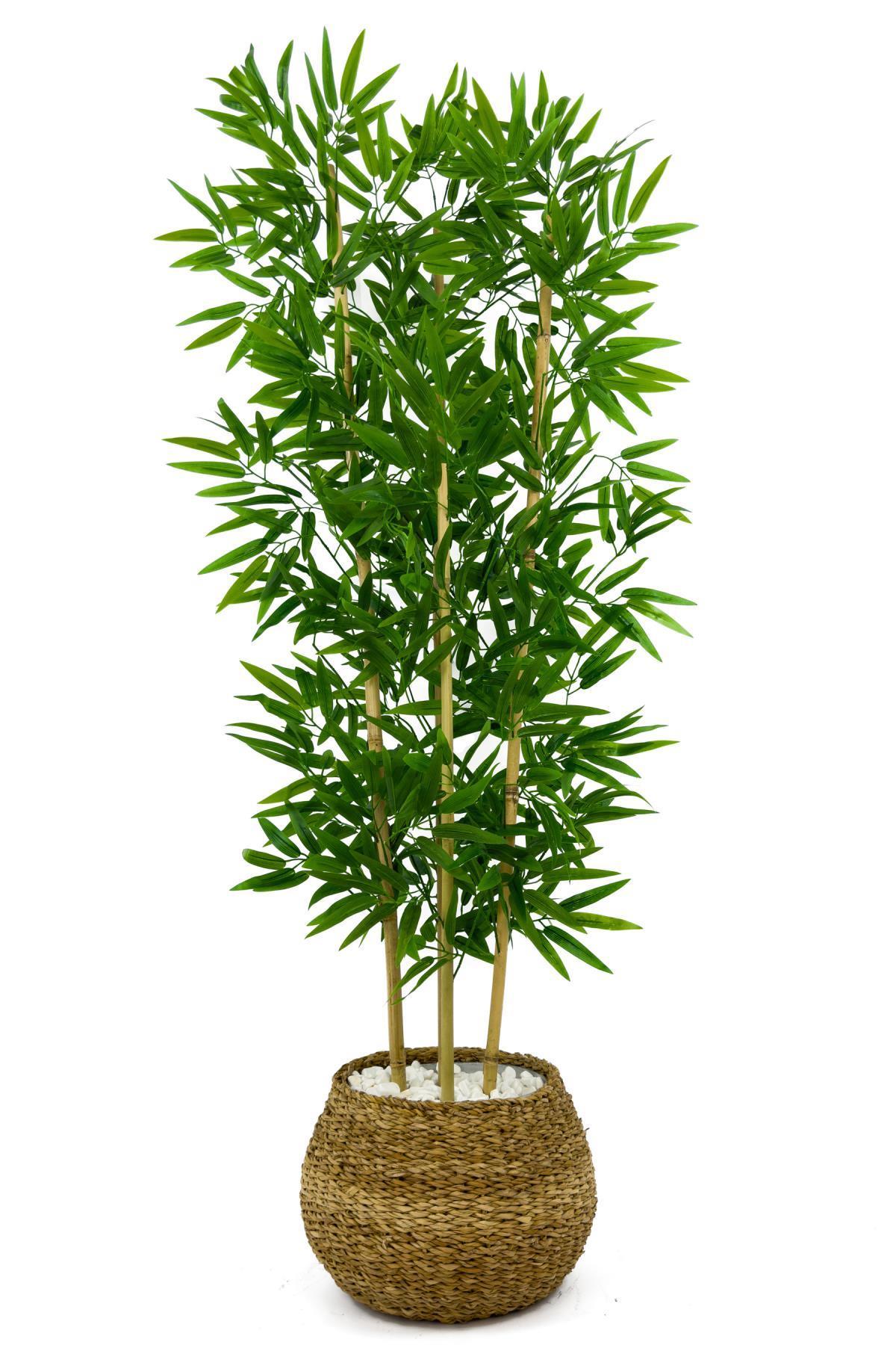 Yapay bambu ağacı 140cm Hasır geoit saksıda 