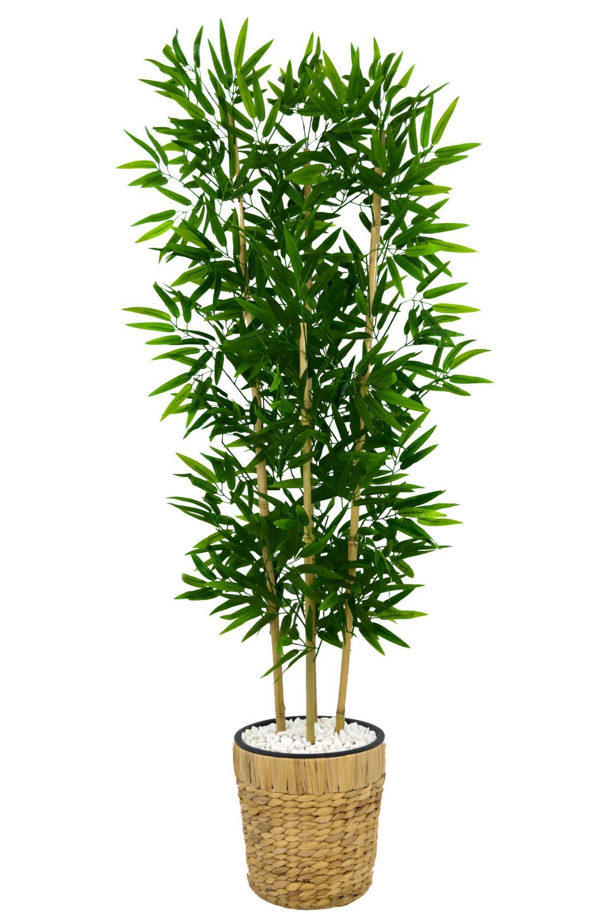 Yapay bambu ağacı 140cm hasır saksıda