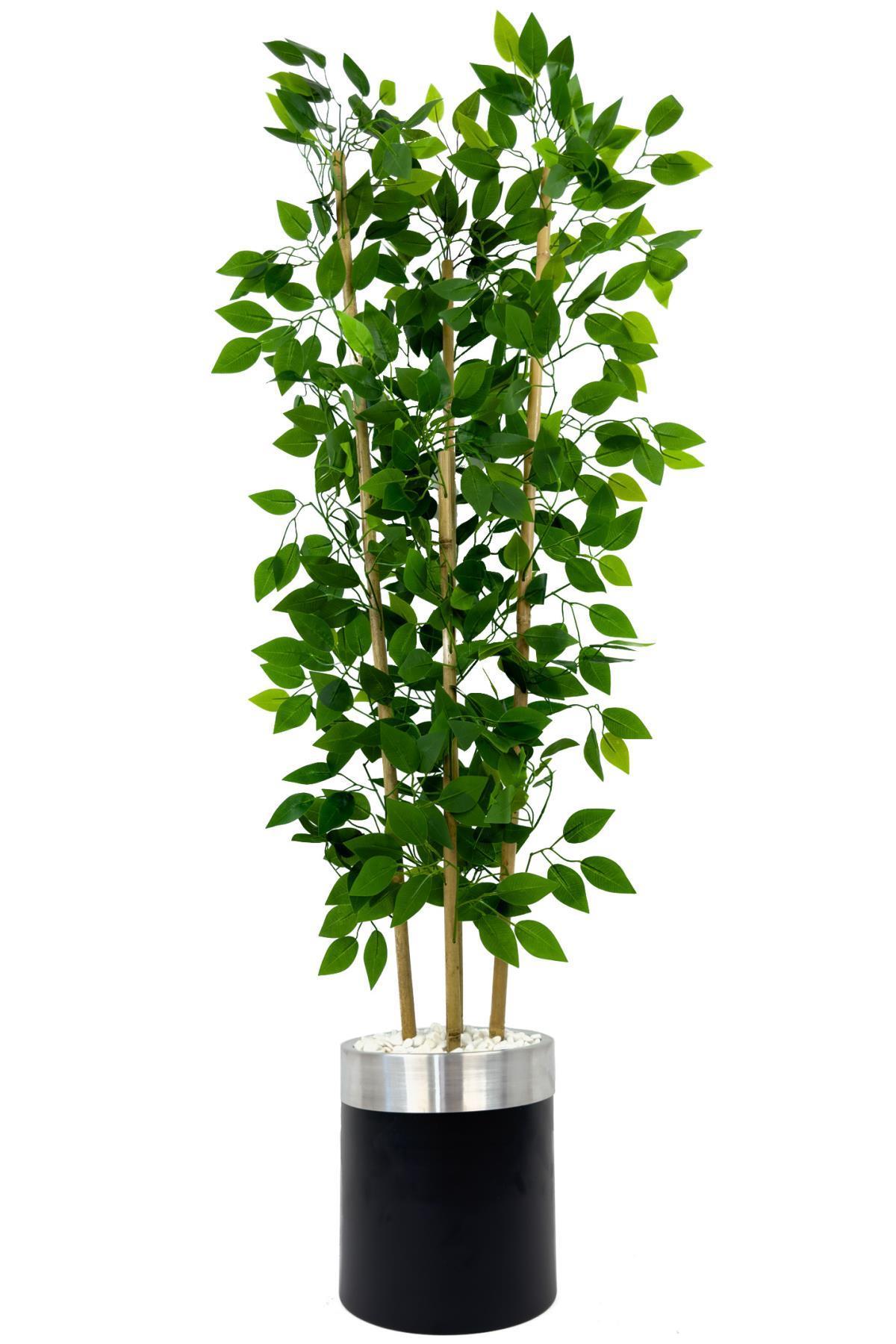 Yapay benjamin ağacı 140cm siyah gümüş metal saksıda