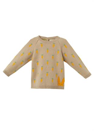 Sütlü Kahve Organik Pamuk Havuç Desenli Kazak