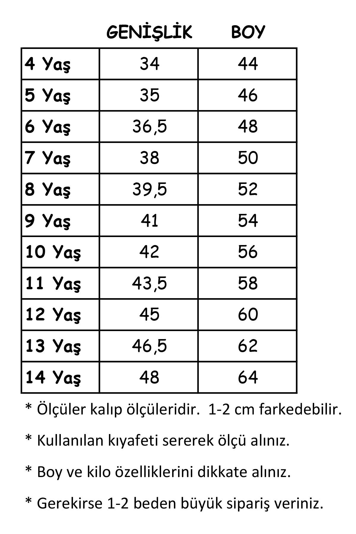 Erkek Çocuk Atatürk Siluet Baskılı Beyaz Tshirt