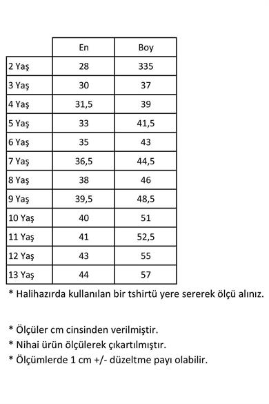 Erkek Çocuk Basic Turkuaz Polo Yaka Tshirt 2-5 Yaş