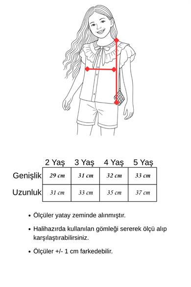 Kız Çocuk Fisto Detaylı Balon Kol Gömlek 2-5 Yaş